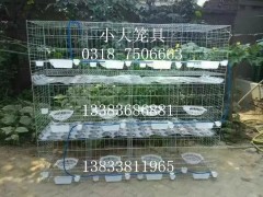 鸡鸽兔笼，狐狸笼，貉笼，鹌鹑笼，宠物笼及饮水器,食盒 (0)