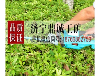 安徽滁州园林绿化充电式双刃绿篱机 锂电往复式电动修枝机