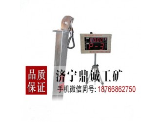 广西贵港YSJ-20语音数显自动播报检力器 不锈钢消防检力器