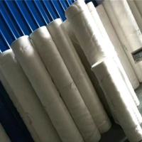 安平供应大庆塑料窗纱网 白色防蚊虫塑料网