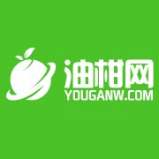 深圳市油柑科技有限公司