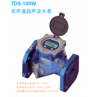 大连海峰TDS-100W双声道超声波水表