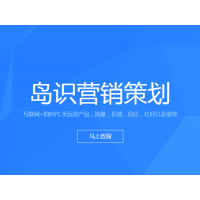 上海网站建设全营销策划网络推广网站推广网站建设网站维护