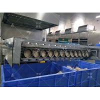 批量生产的团状粉丝生产线设备 紫薯圈圈粉机器丽星厂家发货