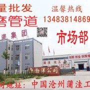 沧州渤洋管道集团有限公司