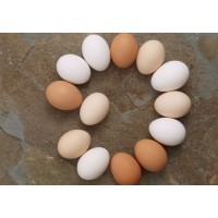 如何杜绝鸡蛋质量差破损多导致的养殖利益流失