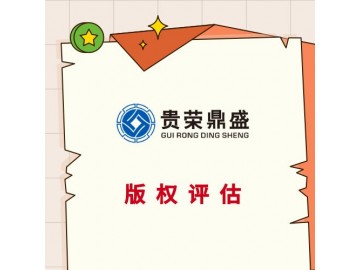 西藏拉萨市专利评估注册资金评估技术评估
