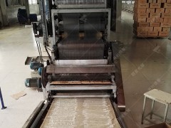 大型粉皮加工机自带烘干系统，大拉皮生产流水线制造厂家丽星机械