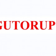 GUTOR固特UPS电源（中国）有限公司-官网